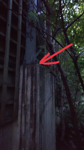 photo 2023 06 05 03 57 09.jpg