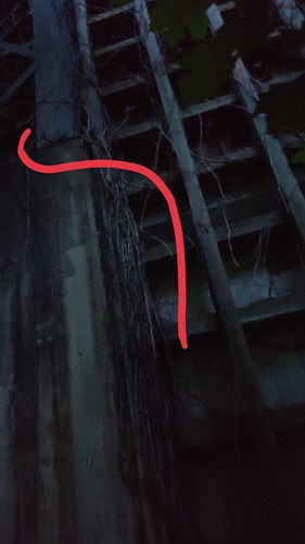 photo 2023 06 05 03 57 05.jpg