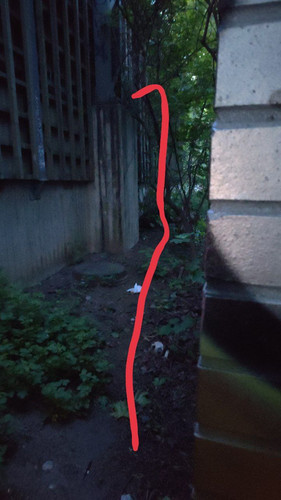 photo 2023 06 05 03 57 14.jpg