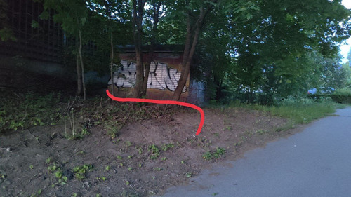 photo 2023 06 05 03 57 16.jpg