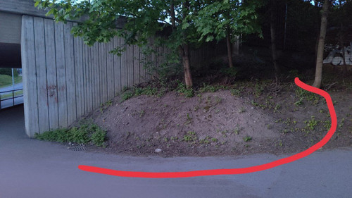 photo 2023 06 05 03 57 20.jpg