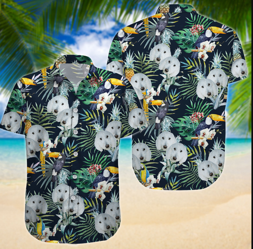 image 2023 06 05 10 16 46.png