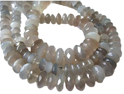 bi.1 PhotoRoom.png PhotoRoom.png