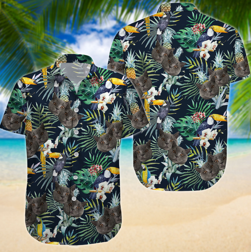 image 2023 06 05 10 15 54.png