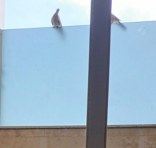 ۲۰۲۳۰۶۰۷ ۱۴۴۶۲۲.jpg