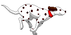 a.gif