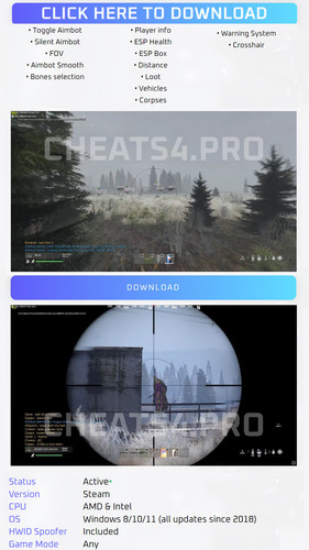 dayz.jpg