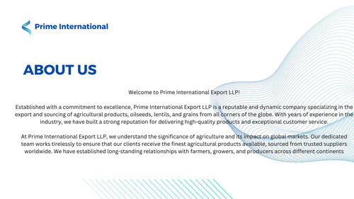 Prime International.jpg