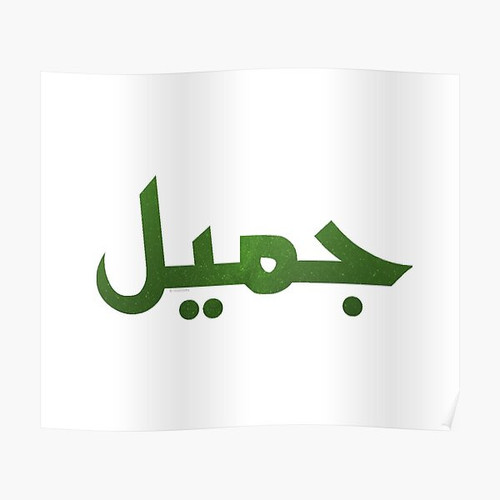 poster,504x498,f8f8f8 pad,600x600,f8f8f8.u5.jpg