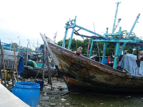 OLYMPUS DIGITAL CAMERA.jpg