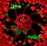 8834728 333dd (Copy) (Copy).gif