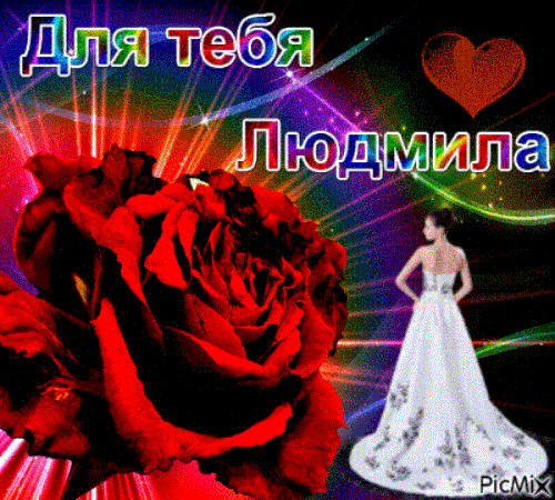 7865110 dd47e (Copy).gif