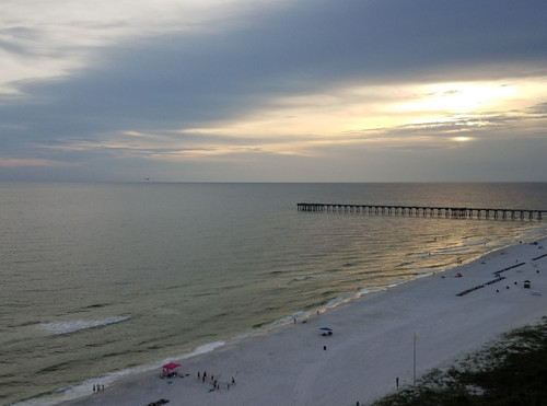 Florida pic.jpg