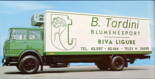 rolfo color 44 su fiat 684 nc.jpg