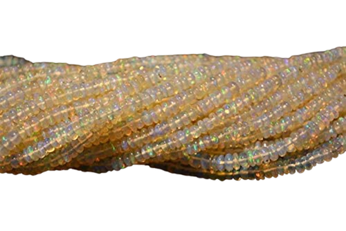 ed.1 PhotoRoom.png PhotoRoom.png