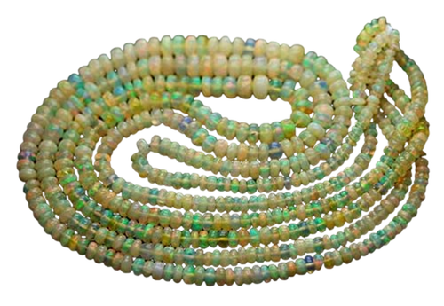 dw.1 PhotoRoom.png PhotoRoom.png