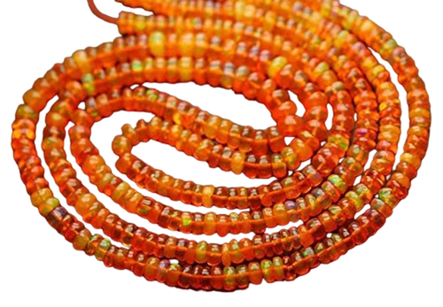 du.1 PhotoRoom.png PhotoRoom.png