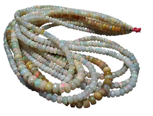 ec.1 PhotoRoom.png PhotoRoom.png