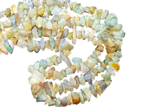 fc.1 PhotoRoom.png PhotoRoom.png