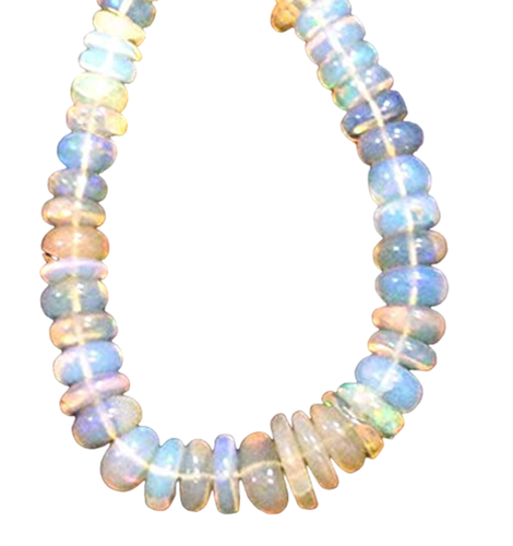 fj.1 PhotoRoom.png PhotoRoom.png