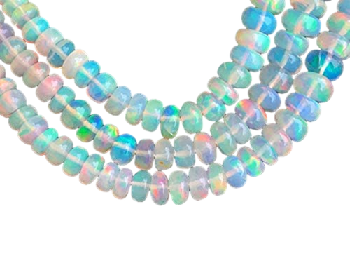 ff.1 PhotoRoom.png PhotoRoom.png