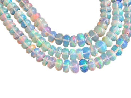 fd.1 PhotoRoom.png PhotoRoom.png