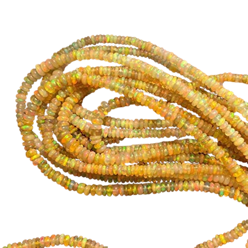 fk.1 PhotoRoom.png PhotoRoom.png