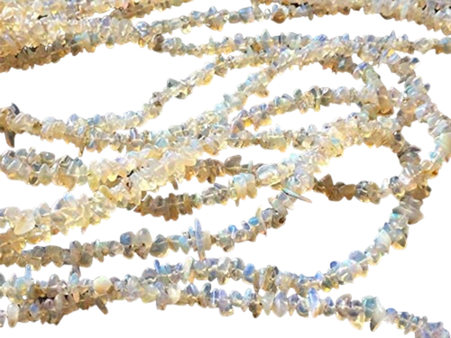 fh.1 PhotoRoom.png PhotoRoom.png