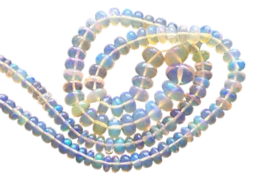 fi.1 PhotoRoom.png PhotoRoom.png