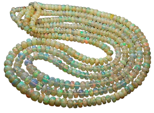 dn.1 PhotoRoom.png PhotoRoom.png