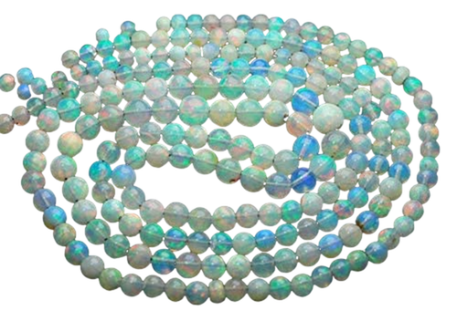 di.1 PhotoRoom.png PhotoRoom.png