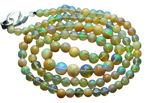 dr.1 PhotoRoom.png PhotoRoom.png