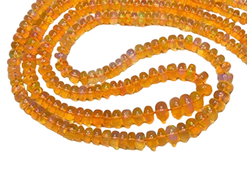 cx.1 PhotoRoom.png PhotoRoom.png