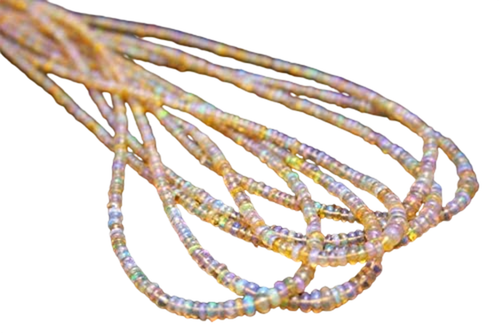 aa.1 PhotoRoom.png PhotoRoom.png