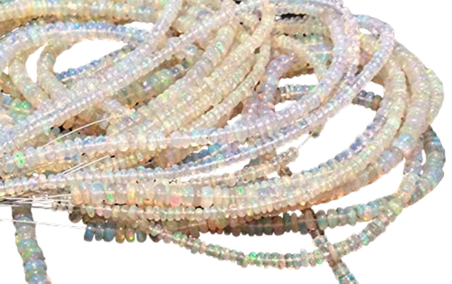 as.1 PhotoRoom.png PhotoRoom.png