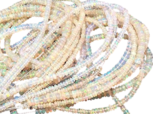 am.1 PhotoRoom.png PhotoRoom.png