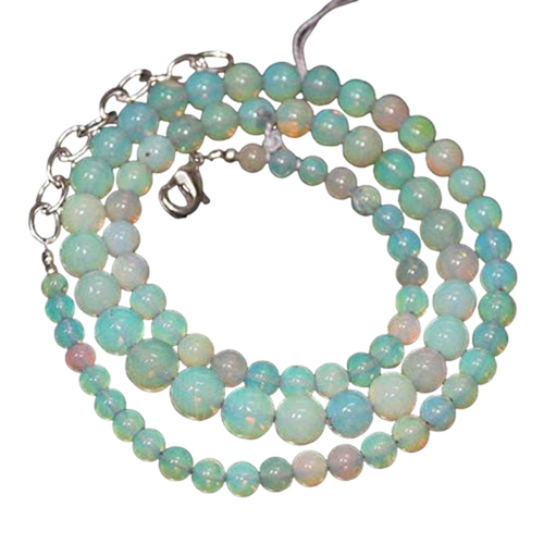 gj.1 PhotoRoom.png PhotoRoom.png