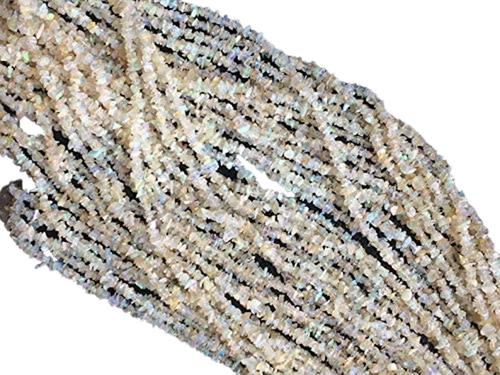 fn.1 PhotoRoom.png PhotoRoom.png