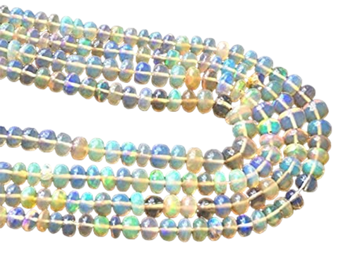 fw.1 PhotoRoom.png PhotoRoom.png