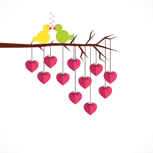 happy valentine day or loving bird greetingor bird kiss design vector.jpg