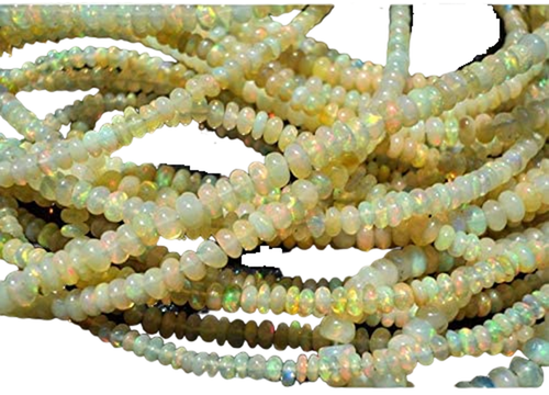 bi.1 PhotoRoom.png PhotoRoom.png