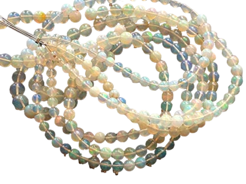 bn.1 PhotoRoom.png PhotoRoom.png