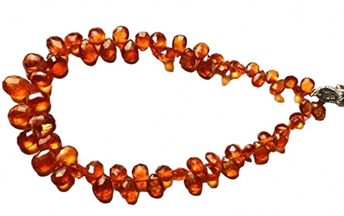 dr.1 PhotoRoom.png PhotoRoom.jpg