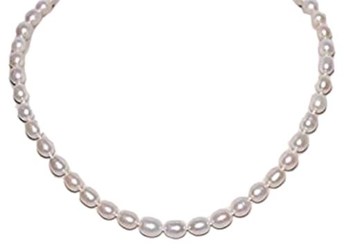 am.1 PhotoRoom.png PhotoRoom.png