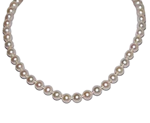 at.1 PhotoRoom.png PhotoRoom.png