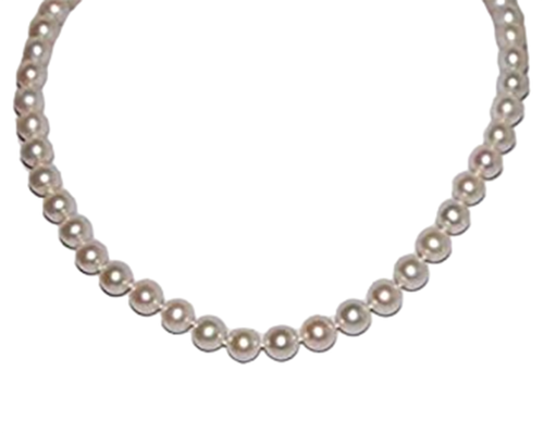 af.1 PhotoRoom.png PhotoRoom.png