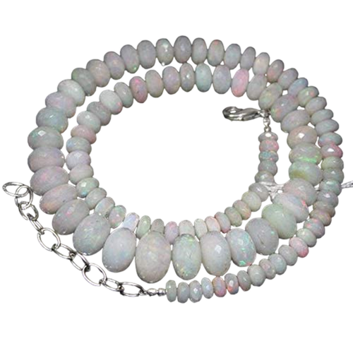 bn.1 PhotoRoom.png PhotoRoom.png