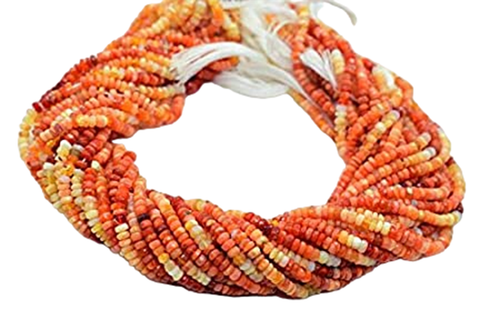 bg.1 PhotoRoom.png PhotoRoom.png