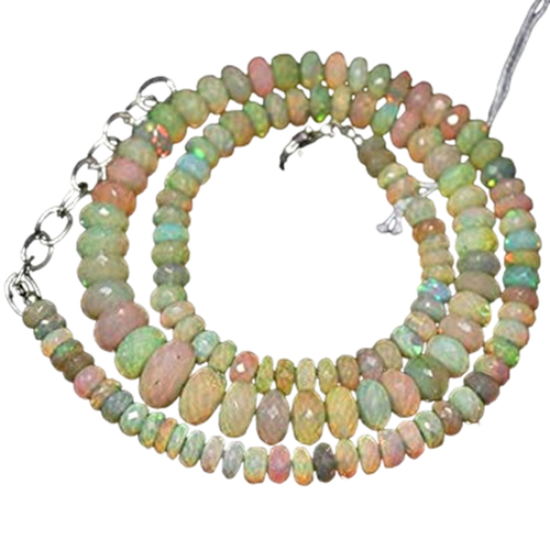 bi.1 PhotoRoom.png PhotoRoom.png