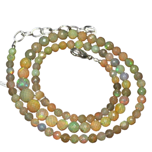 bp.1 PhotoRoom.png PhotoRoom.png